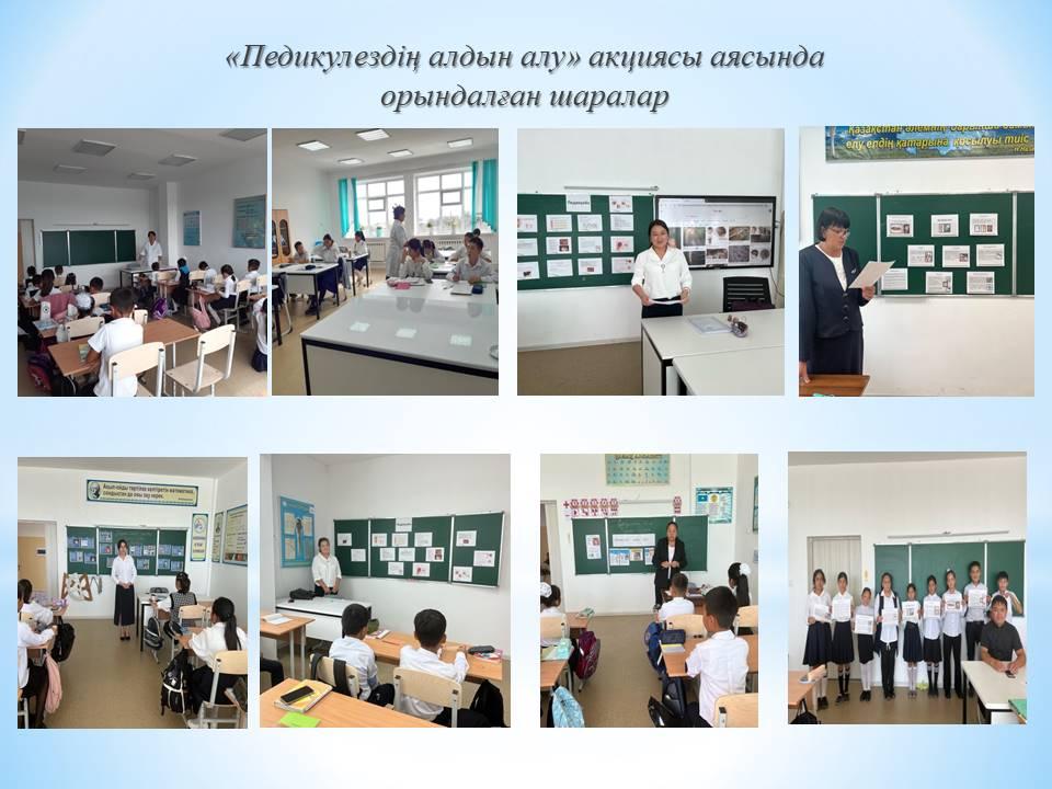Педикулездің алдын алу бойынша сынып сағаттары